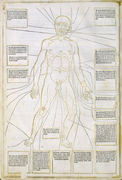 插图来自威尼斯“Fassiculus Medicinae” 作者 意大利学校