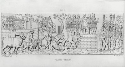 La Colonna Trajana，Trajan？S专栏 作者 意大利学校
