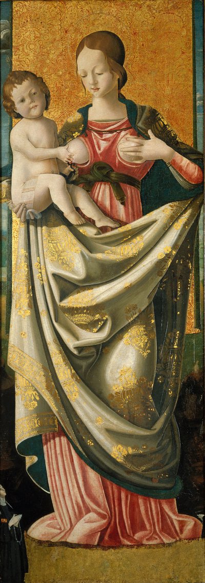 Madonna del Suffragio，c.1520（硬木面板上的蛋彩画） 作者 意大利学校