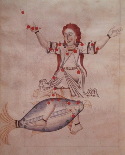 Ms.1036 双鱼座，出自《Liber de stellis fixarum》，Al-Sufi（公元903-986年）的拉丁文译本（牛皮纸）。 作者 意大利学校