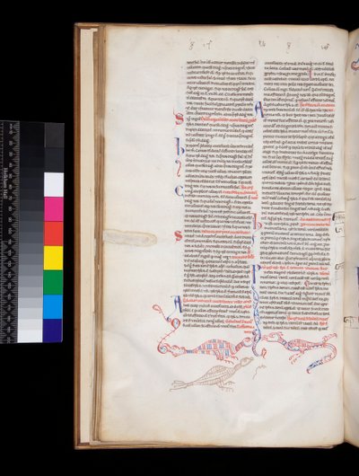 164号文件。Peter Lombar, Sententiae, f.15v. 底部的钢笔画装饰发展成鸟/龙的混合体。 作者 意大利学校