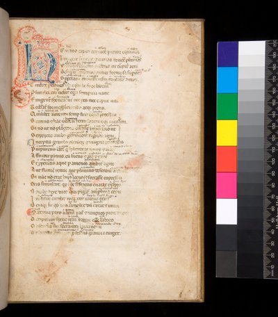 Ms 315. Horace, Ars Poetica and Epistulae, f.1r. Decorated initial [N] in blue and red diapered infill and surrounding penwork in red 作者 意大利学校