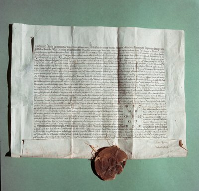 查理四世皇帝（1316-1378）的官方文件正式证明锡耶纳大学（Universita di Siena）为通用大学”” 作者 意大利学校
