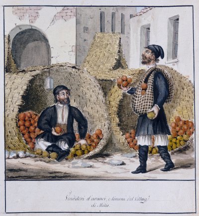 撒丁岛 Milis 的橙子和柠檬供应商，印刷 ms.258，Luzzetti 收藏 作者 意大利学校