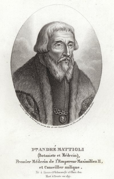 Pietro Andrea Mattioli 作者 意大利学校