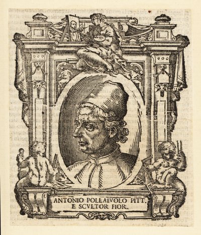 Antonio del Pollaiuolo 的肖像，意大利画家、雕塑家、雕刻家和文艺复兴时期的金匠，来自佛罗伦萨，大约 1429-1498 年 作者 意大利学校