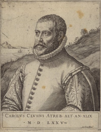 Carolus Clusius的肖像 作者 意大利学校
