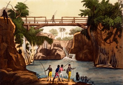 River Roccie在San Benedetto附近，马达加斯加岛，从服装...由Giulio Ferrario，c.1820s-30s 作者 意大利学校