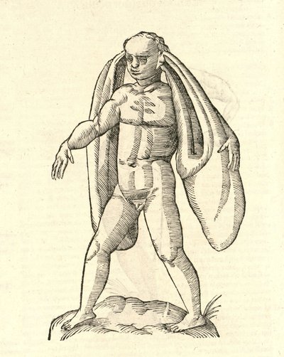 Adom Fanesius auritus的例证从Aldrovandis历史的怪物，1642年 作者 意大利学校