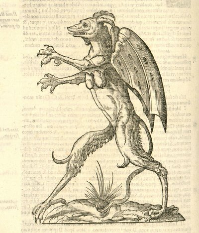 与翼和牛角怪物的图示像从怪兽kazakovae历史，1642妖 作者 意大利学校