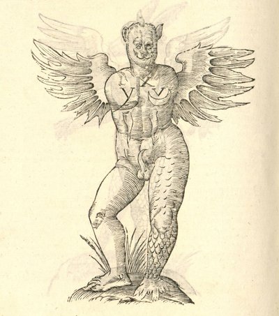 从怪物的另一kazakovae历史怪物角和翅膀的插图，1642 作者 意大利学校