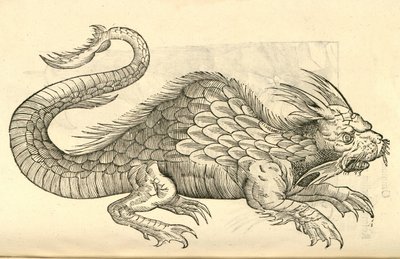 Orobonis Piscis肖像的插图来自Aldrovandis的怪物历史，1642年 作者 意大利学校