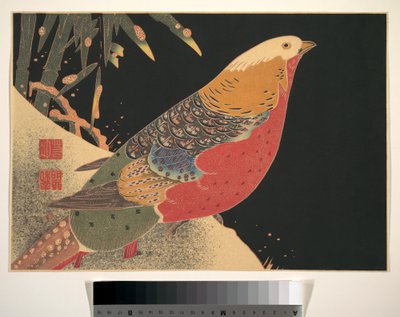 雪中金鸡，约 1900 年（木刻版画，纸上水墨和色彩） 作者 伊藤雅作