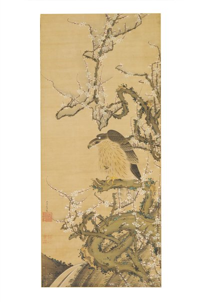 梅枝上的鹰 作者 伊藤雅作
