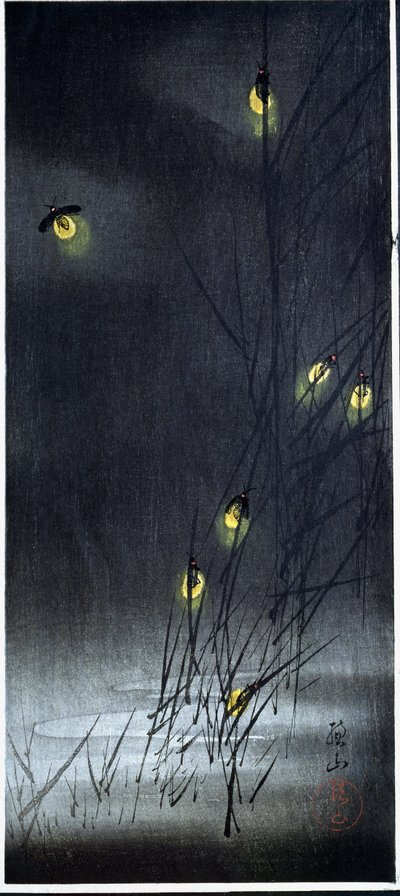 夏夜的萤火虫1930-1950（木刻版画和日本版画） 作者 伊藤宗山
