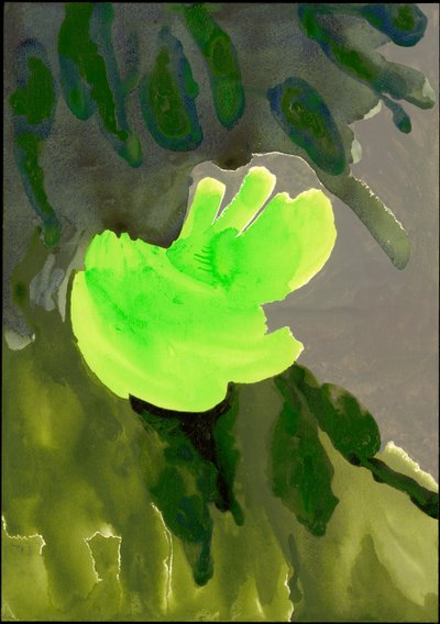 肯辛顿花园系列：Leaf Cascade，2007（纸上混合媒体） 作者 伊莎贝拉·戈德卢斯卡·德·阿兰达