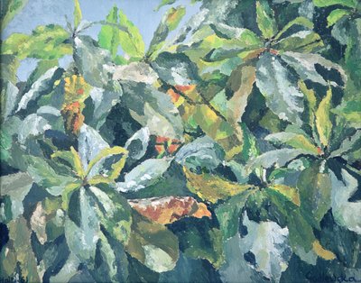 植物，1961年 作者 伊莎贝拉·戈德卢斯卡·德·阿兰达
