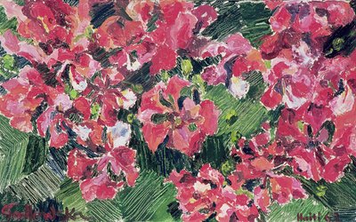 杜鹃花，1962年 作者 伊莎贝拉·戈德卢斯卡·德·阿兰达