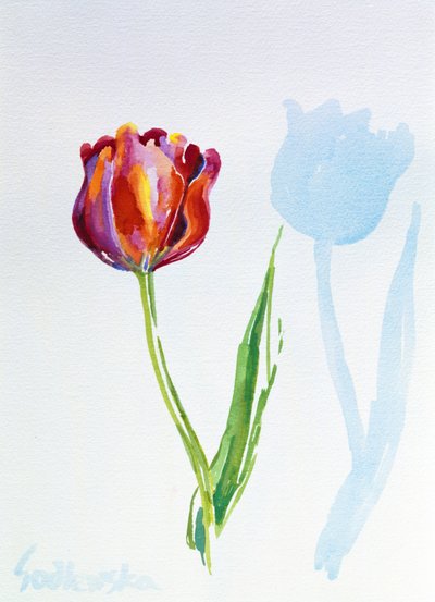 郁金香，1998年（纸上写着）（另见124446和124447） 作者 伊莎贝拉·戈德卢斯卡·德·阿兰达