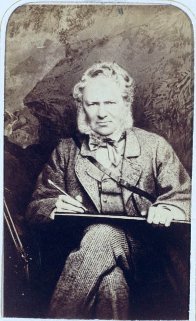 Edwin Landseer先生的肖像（1802-73）（蛋白打印） 作者 杰克·沃特金斯