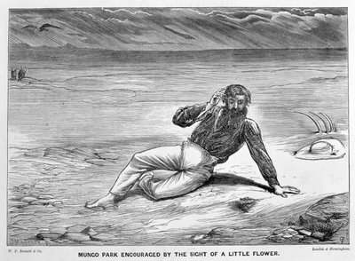 蒙哥公园因看到一朵小花而受到鼓励，19世纪 作者 JM角