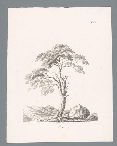 书房 Pin（对象上的标题） 研究范博门（系列标题） Études d