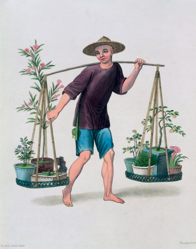 有果树和鲜花的搬运工》，中国，1800年 作者 达德里