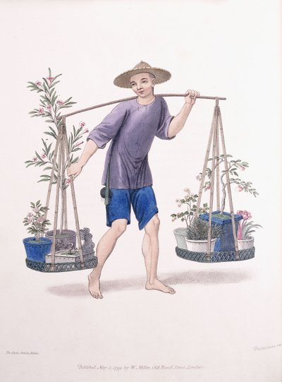 有果树和花的搬运工，约1800-01 作者 达德里
