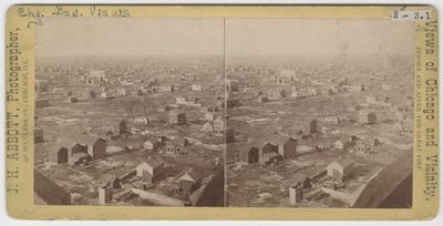 1871年芝加哥火灾后的水塔西北西北的立体图，1871年（卡上的照片） 作者 雅培（JH Abbott）