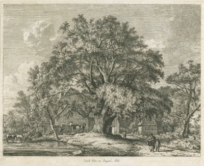 Blithfield-Wych Elm：蚀刻，1825年 作者 雅各布·乔治·斯特鲁特