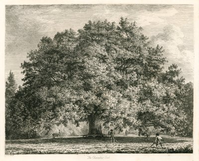 Chandos Oak，Michendon House，Southgate，伦敦 作者 Jacob George Strutt