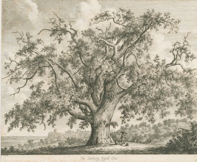 塔特伯里（Tutbury）-“威奇榆树”（Wych Elm）：蚀刻，[c 1820] 作者 雅各布·乔治·斯特鲁特