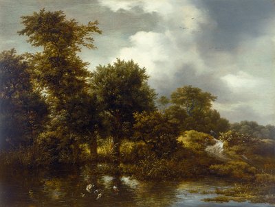 树木繁茂的景观与池塘，1640年代后期 作者 Jacob van Ruisdael