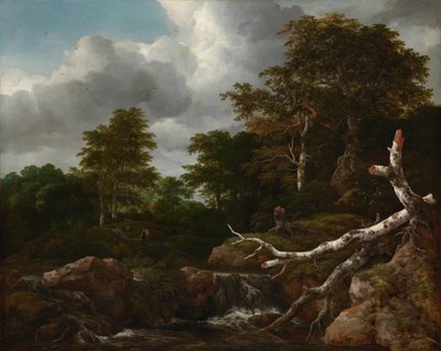 森林场景，约 1655 年（布面油画） 作者 雅各布范瑞斯达尔