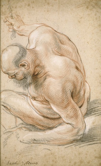 裸体老人坐着，靠在前臂上，朝左，约1640年 作者 Jacob Jordaens