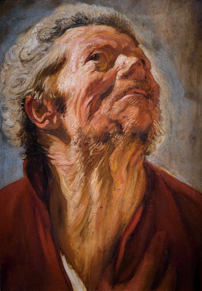 研究负责人 作者 Jacob Jordaens