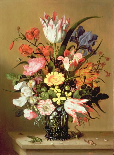 鲜花盛开，1635年 作者 Jacob Marrel