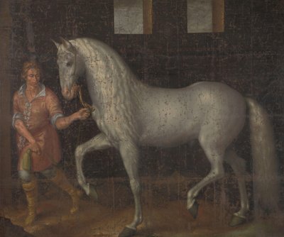西班牙战马
Lodewijk Gunther van Nassau 在尼乌波尔特战役中从奥地利大公阿尔伯特手中缴获的一匹西班牙战马，并赠送给莫里茨王子 作者 雅各布·德·盖恩 (II)