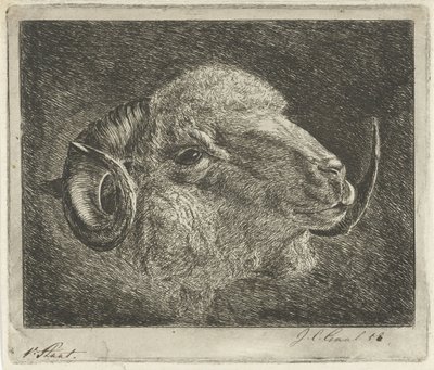 犄角反转的公羊头像 作者 Jacobus Cornelis Gaal（艺术家签名）