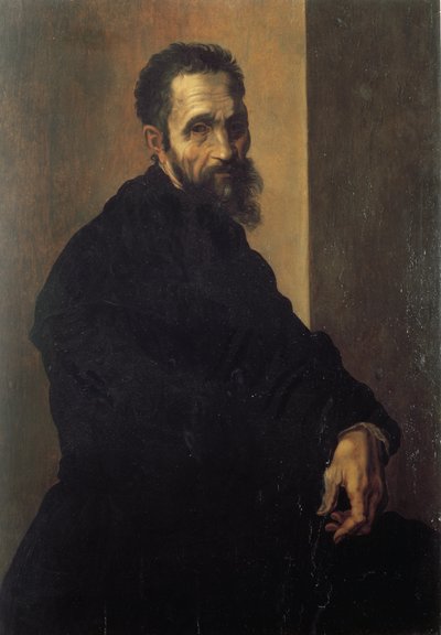 米开朗基罗的肖像 Buonarroti dit Michelangelo (Michelangelo or Michel Ange 作者 Jacopino del Conte