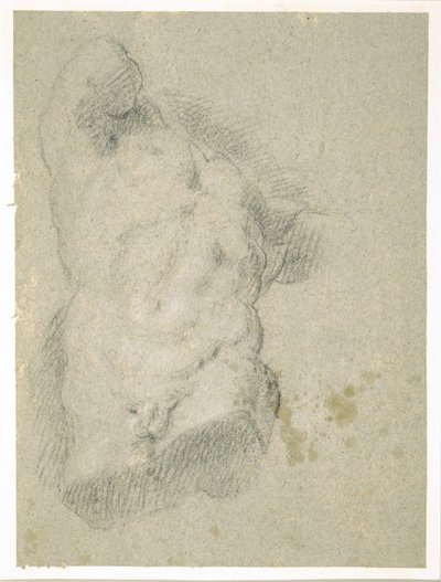 男性躯干图画（蓝纸炭笔） 作者 哈科波·巴萨诺（Jacopo Bassano）