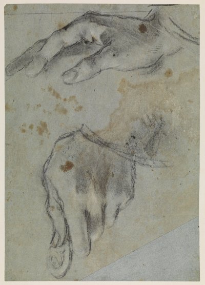 直肠研究手，十六世纪 作者 哈科波·巴萨诺（Jacopo Bassano）