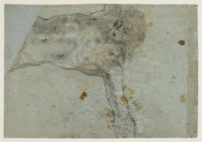 研究钉在十字架上的基督，十六世纪 作者 哈科波·巴萨诺（Jacopo Bassano）