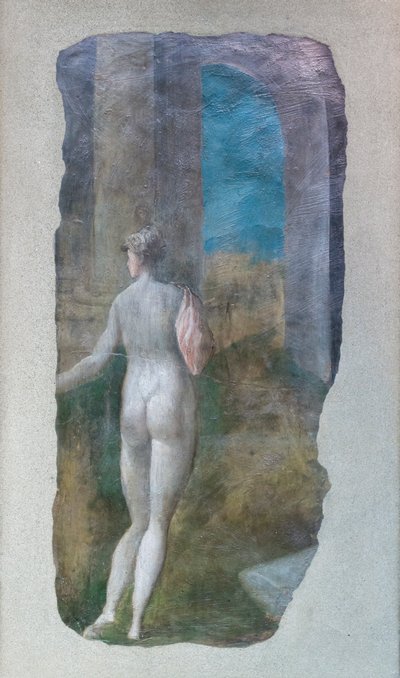 维纳斯，约 1566-68（石膏上的油彩转印到画布上） 作者 Jacopo Ianguidi Bertoia