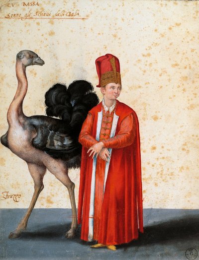 骑鸵鸟的奴隶，雅各布-利戈齐（1547-1627 年）绘制 作者 雅各布·利戈齐（Jacopo Ligozzi）