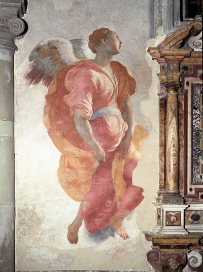Annunciation. Detail of the Angel - Fresco 作者 雅各布·蓬托尔莫