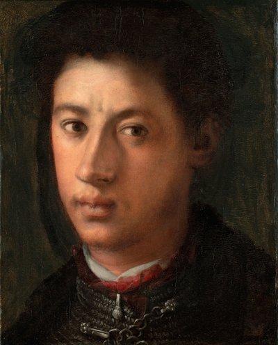 亚历山德罗·德·美第奇的肖像1510-1537，1534-1535 作者 雅各布·蓬托尔莫