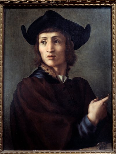 一个珠宝商的画像。画家：Jacopo (Iacopo) Carrucci dit il Pontormo (Pontormo) (1494-1556) 作者 雅各布·蓬托尔莫