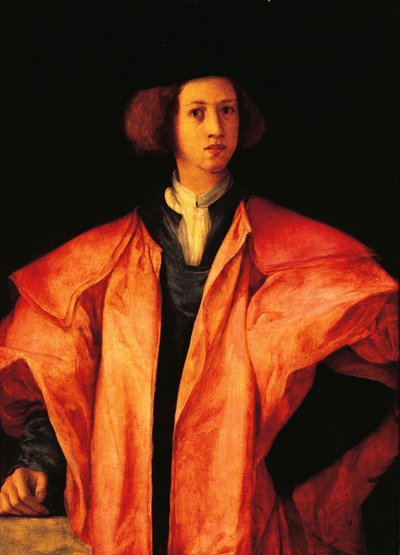 年轻人肖像，也许是亚美利哥-安蒂诺里，约 1530 年，雅各布-卡鲁奇（Jacopo Carucci，又名庞托尔莫，1494-1557 年）创作，油画，木板 作者 雅各布·蓬托尔莫