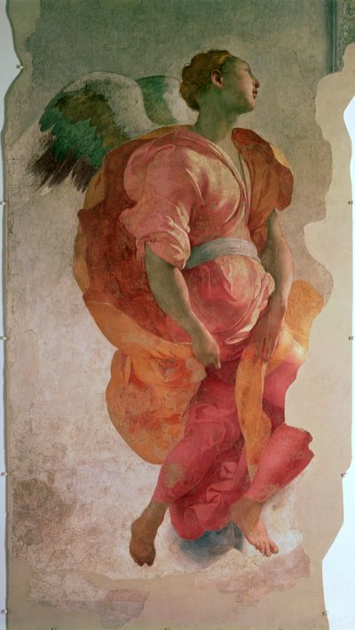 天使报喜，天使的细节，c.1527 57520的壁画细节，另见94965 作者 雅各布·蓬托尔莫